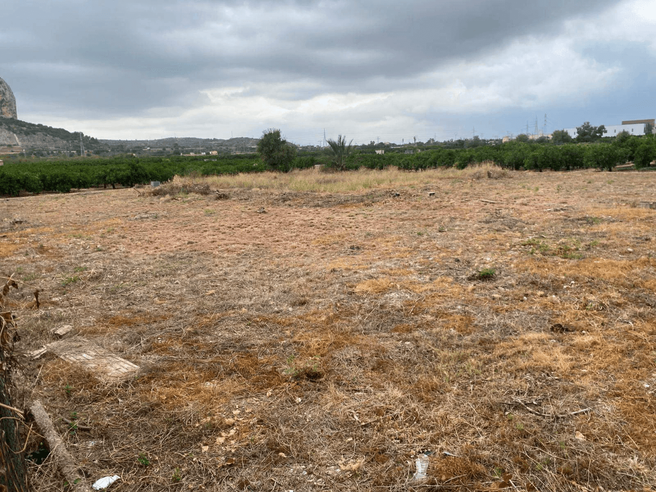 Parcel·les urbanes i rústiques a El Verger.