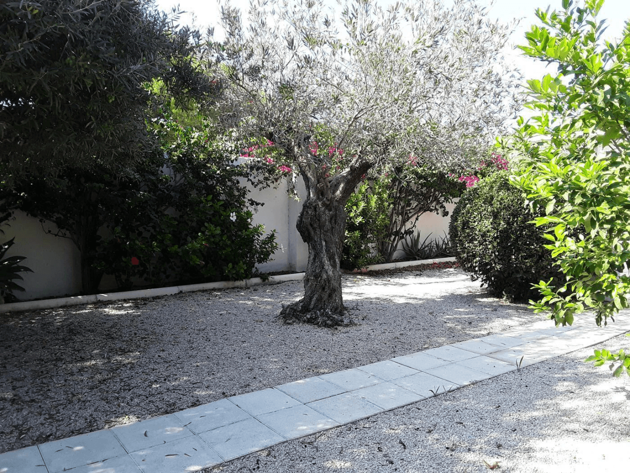 Chalet/adosado primera linea de playa a Denia