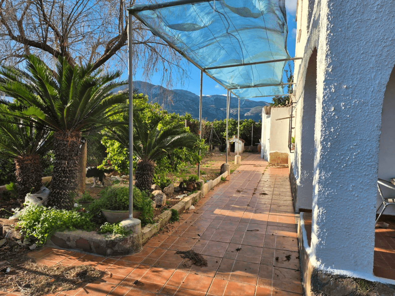 Casa de campo con dos viviendas y piscina en Pego.