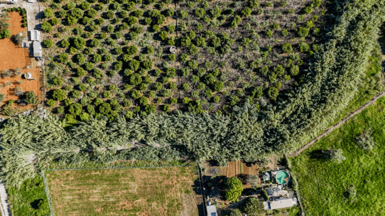Gran finca rústica compuesta por dos casas y con cuadras para caballos.