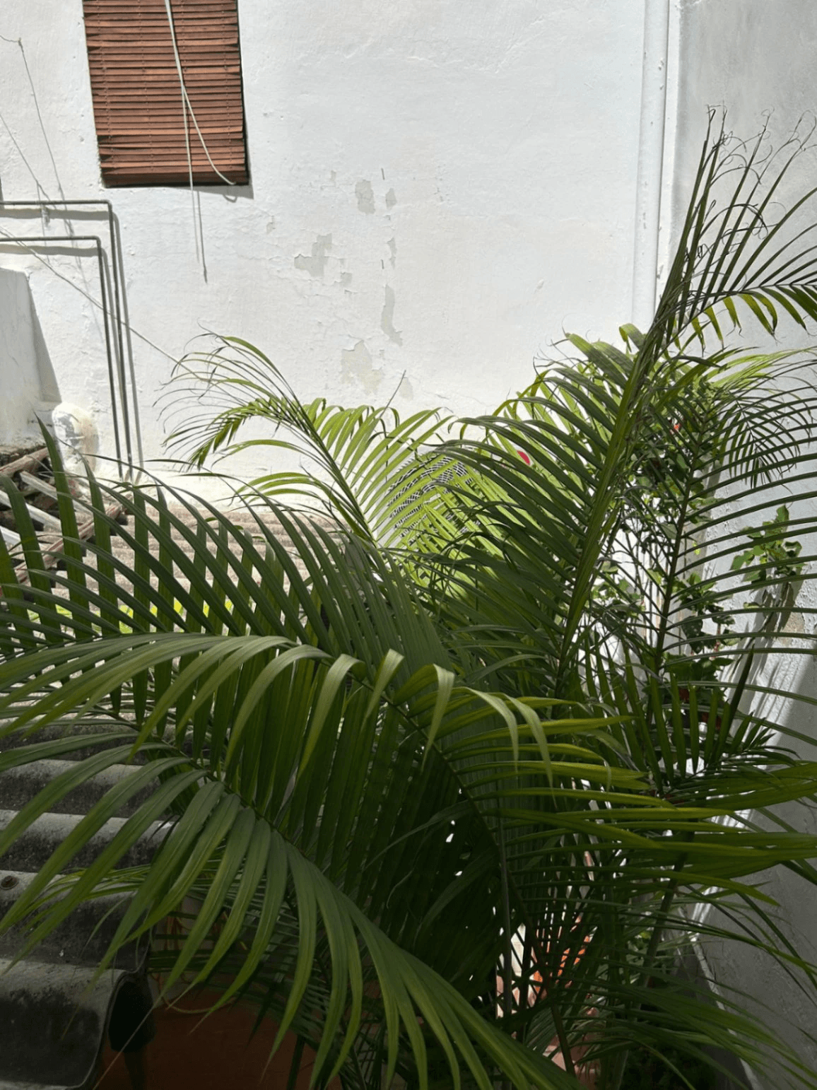 Casa de pueblo de 5 habitaciones, patio y terraza en El Verger.